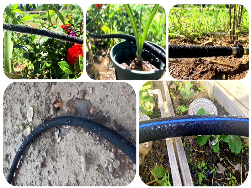 Εφαρμογή του σωλήνα άρδευσης νανο -διαρροής σε αμμώδη εδάφη άρδευση